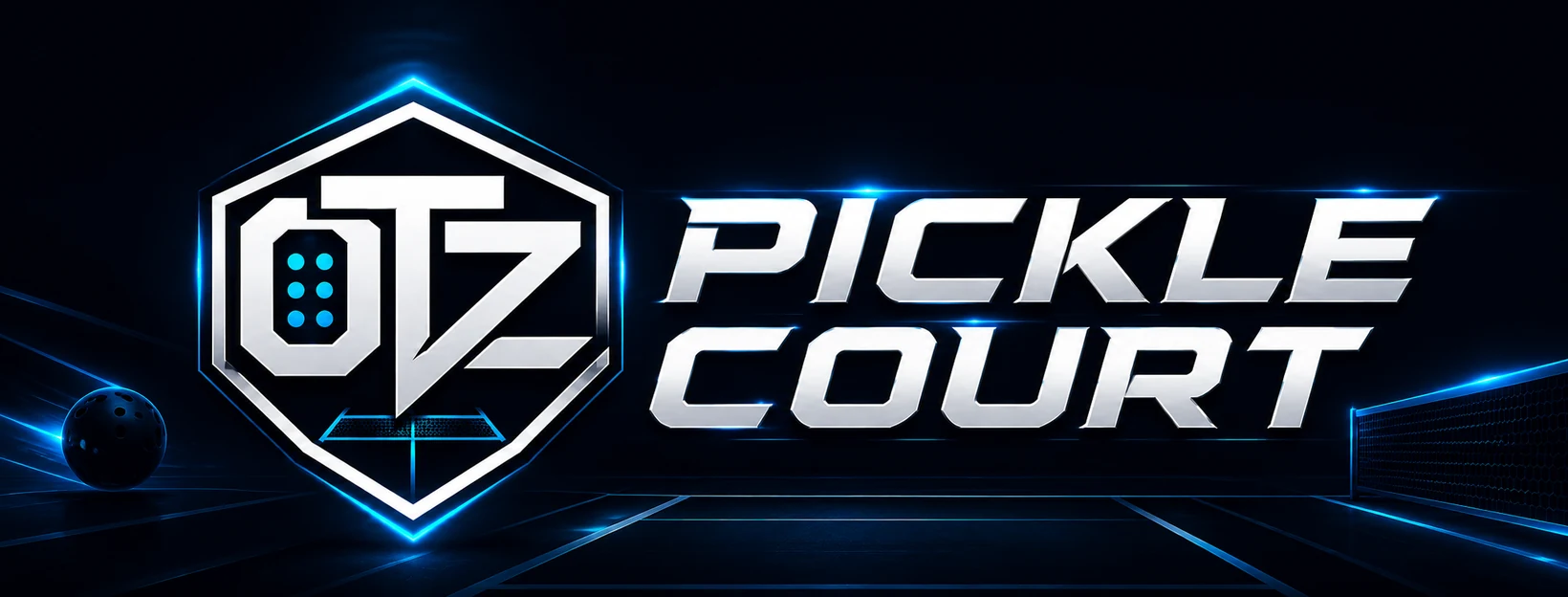 OTZ Pickle Court